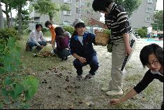 栗拾い